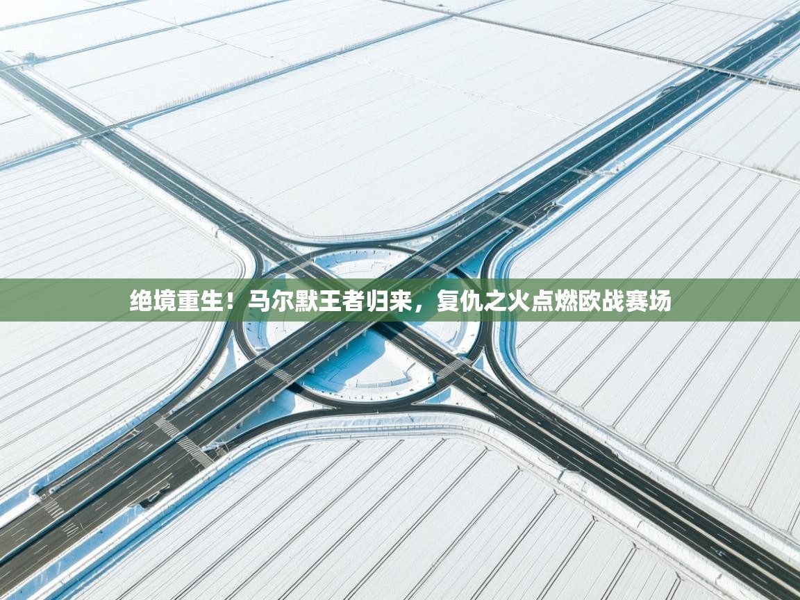 绝境重生！马尔默王者归来，复仇之火点燃欧战赛场  第2张