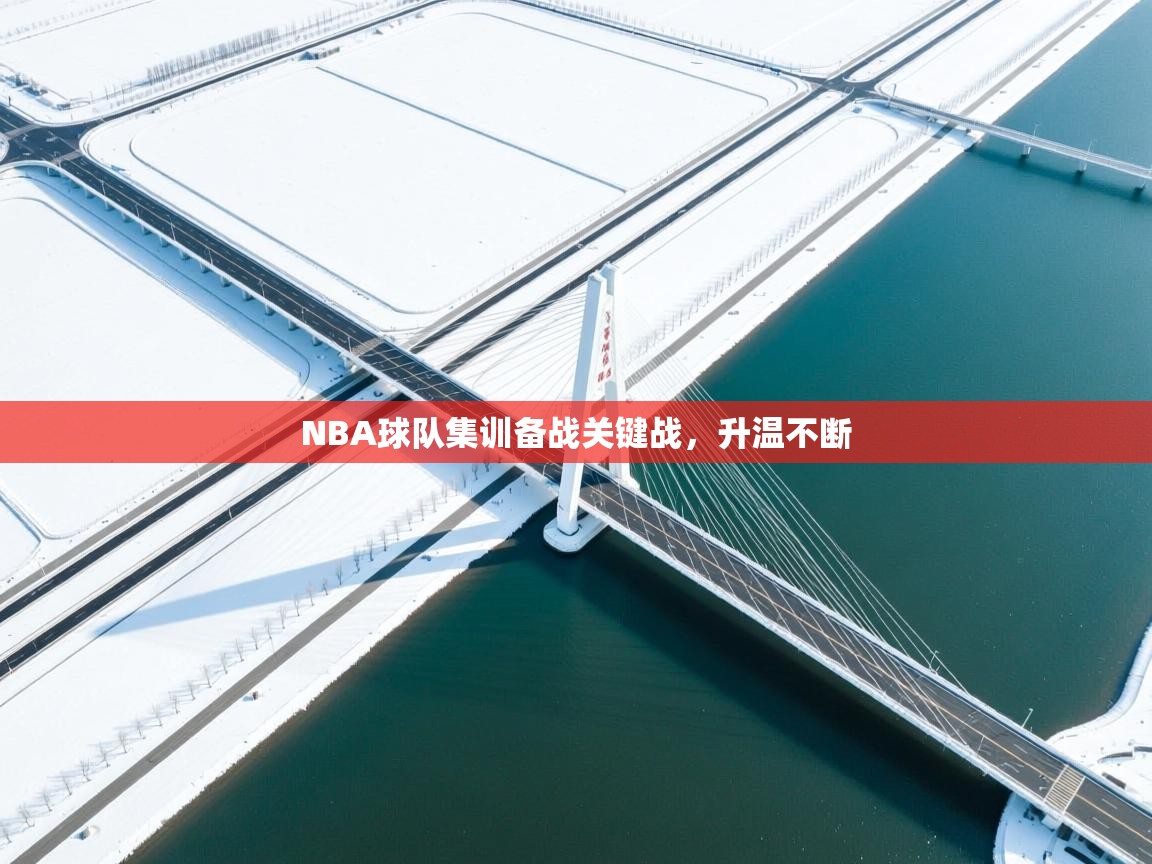 NBA球队集训备战关键战，升温不断  第2张