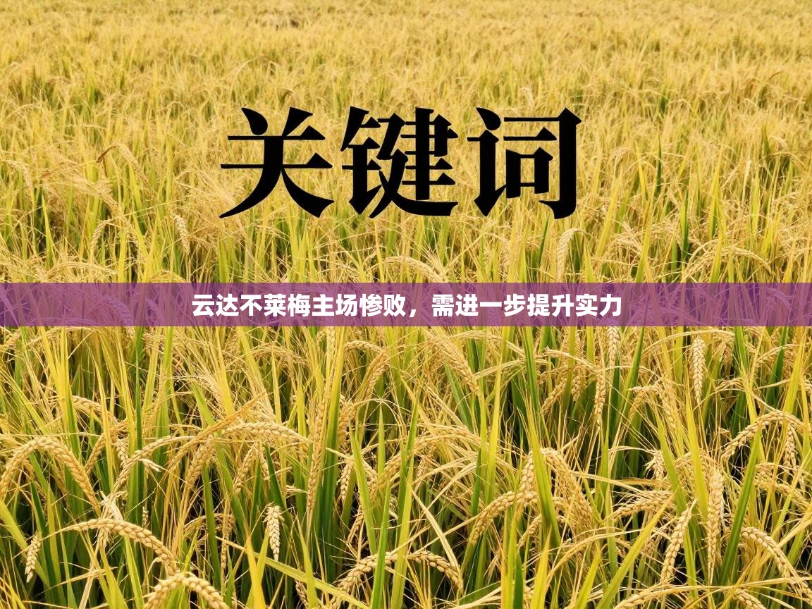 云达不莱梅主场惨败，需进一步提升实力