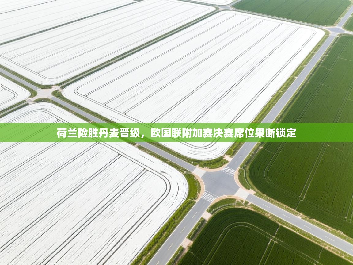 荷兰险胜丹麦晋级,欧国联附加赛决赛席位果断锁定 第2张