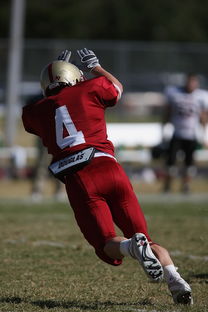 开云体育-五大联赛争冠球队出场阵容中缺席后的战术重构,五大联赛全胜夺冠的球队 第3张
